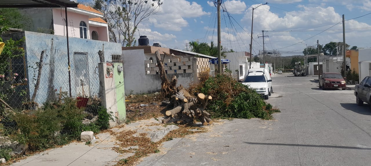 Colapso de postes en Campeche: efectos de vientos y mal estado de estructuras Colapso de postes en Campeche: efectos de vientos y mal estado de estructuras