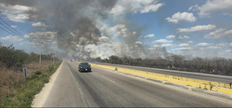 El calor y el viento provocarían mayor probabilidad de incendios en Yucatán