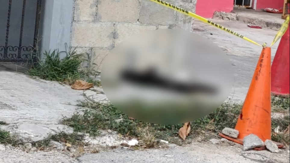 Denuncian envenenamiento masivo de gatos al oriente de Mérida 