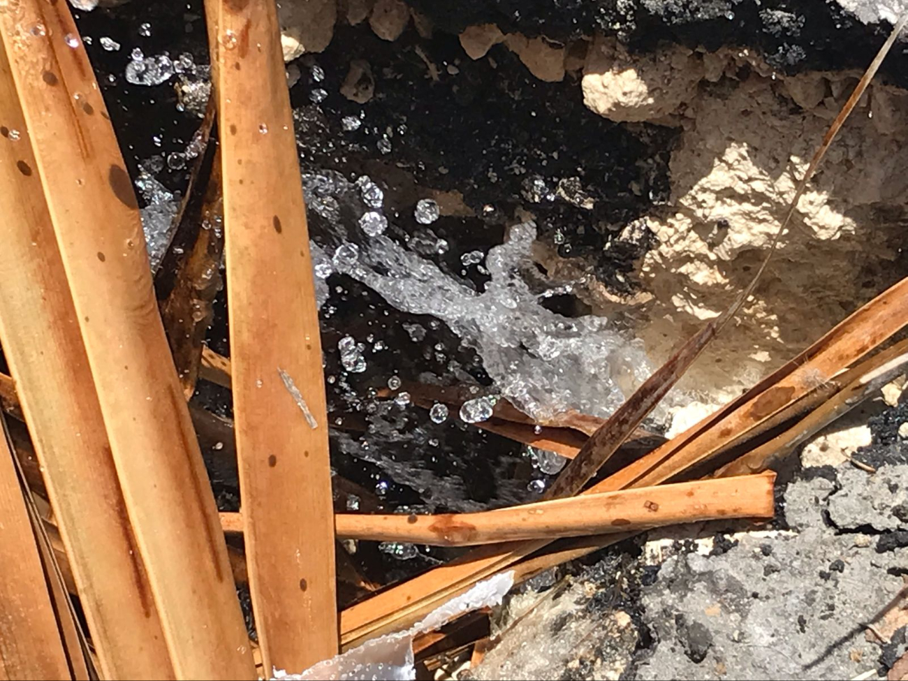 Además de la fuga de agua, se reportó un hundimiento Además de la fuga de agua, se reportó un hundimiento