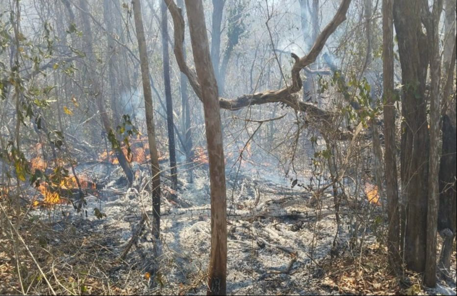 Incendio activo en Ukum, Hopelchén moviliza a tres brigadas de combate