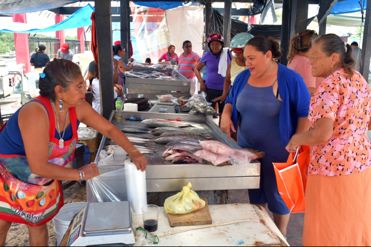 Robalo, chachi y cazón: los favoritos de la temporada en costas campechanas
