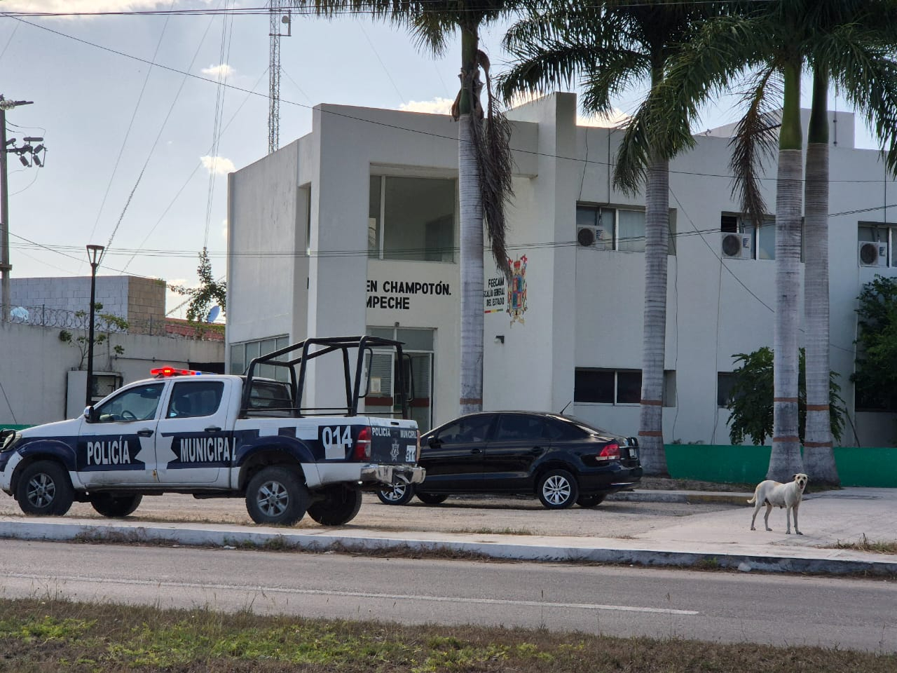 Presunta ejecución en San Pablo Pixtún; Fiscalía ya investiga