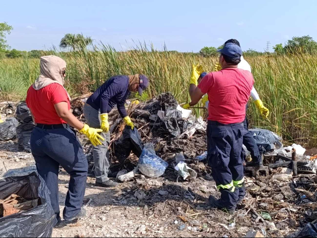 La basura obstruye el correcto funcionamiento de algunos de los sistemas