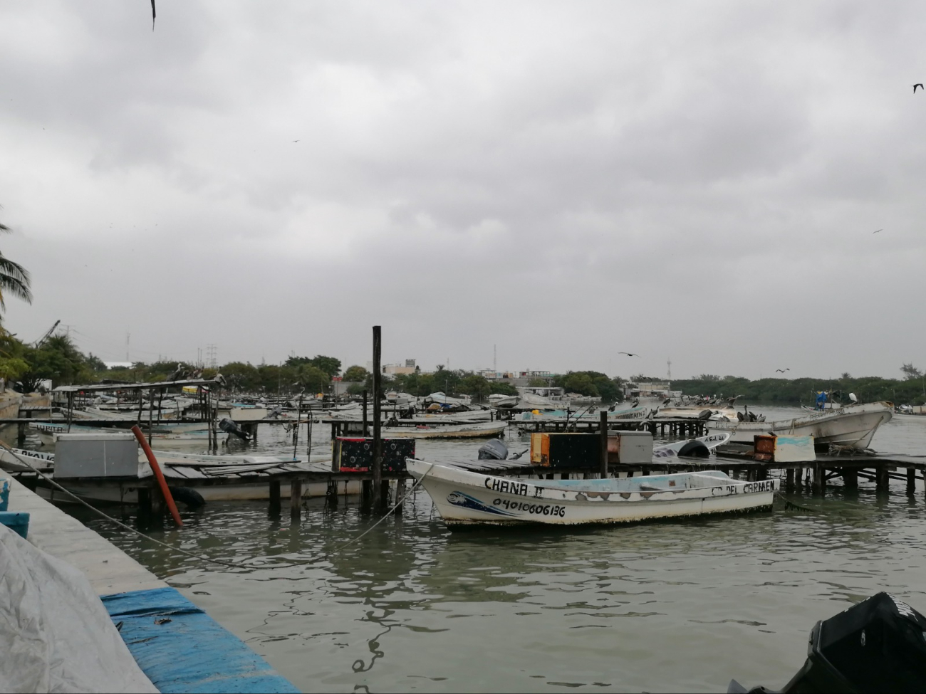 Sequía en accesos a lagunas amenaza producción pesquera en Ciudad del Carmen