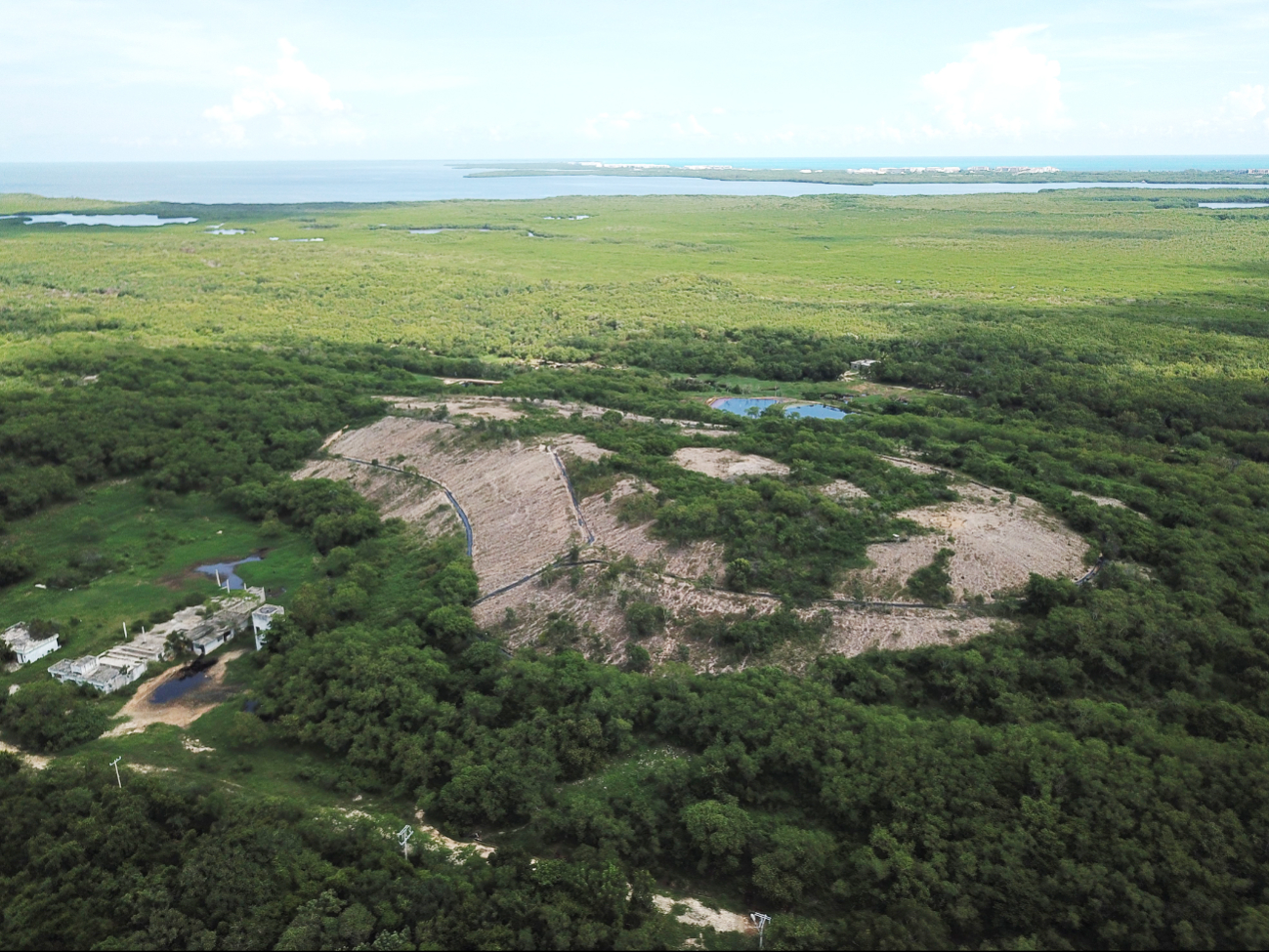 Cenotes y lagunas de Cancún al borde del colapso; detectan altos niveles de coliformes fecales  