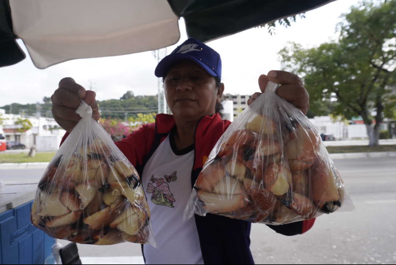  Pescadores de Campeche le apuestan a las manitas de cangrejo; reportan buena venta   