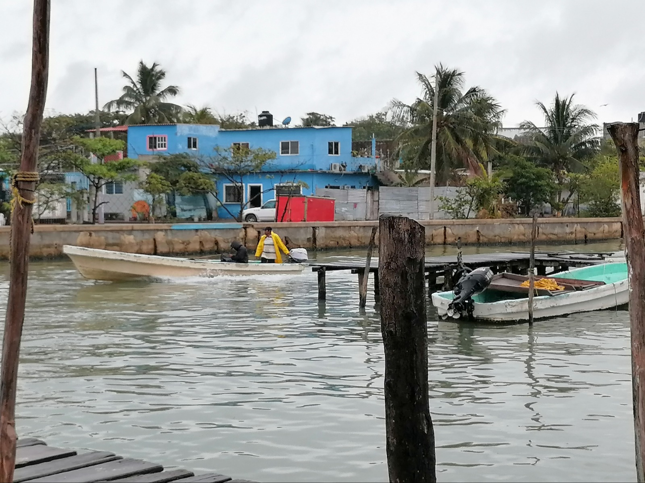 Pescadores pidieron desde el año pasado el desazolve de arroyos, pero las autoridades no han tomado acción Pescadores pidieron desde el año pasado el desazolve de arroyos, pero las autoridades no han tomado acción