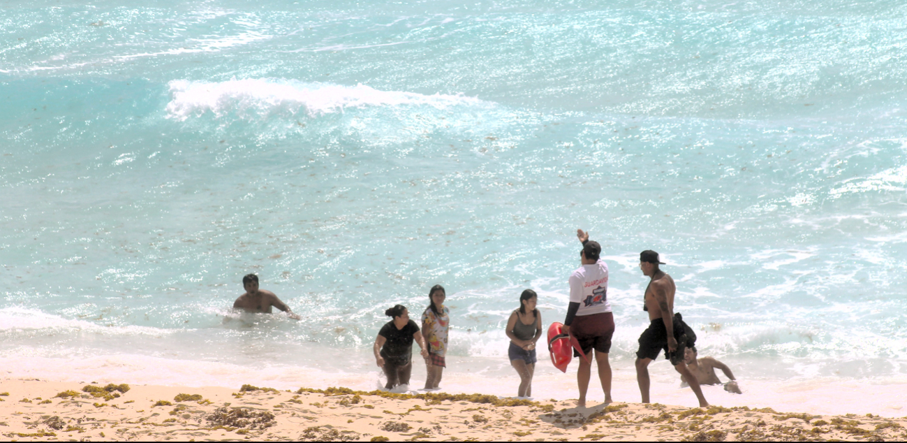 Recomendaron nadar sólo cuando hay cuerpos de emergencia en la costa y no meterse con heridas expuestas Recomendaron nadar sólo cuando hay cuerpos de emergencia en la costa y no meterse con heridas expuestas