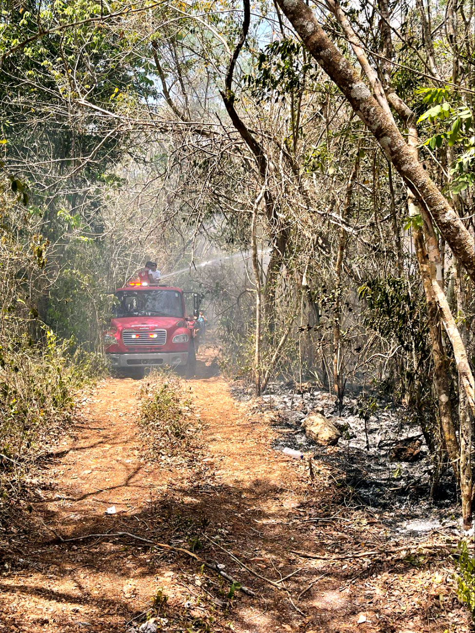 Exhortaron a quienes realicen fogatas a extinguirlas totalmente y se evite daños al arbolado Exhortaron a quienes realicen fogatas a extinguirlas totalmente y se evite daños al arbolado