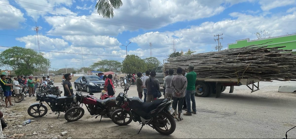 Gente de Kinchil cortó maderos en terrenos de San Antonio Tedzidz para construir un coso taurino