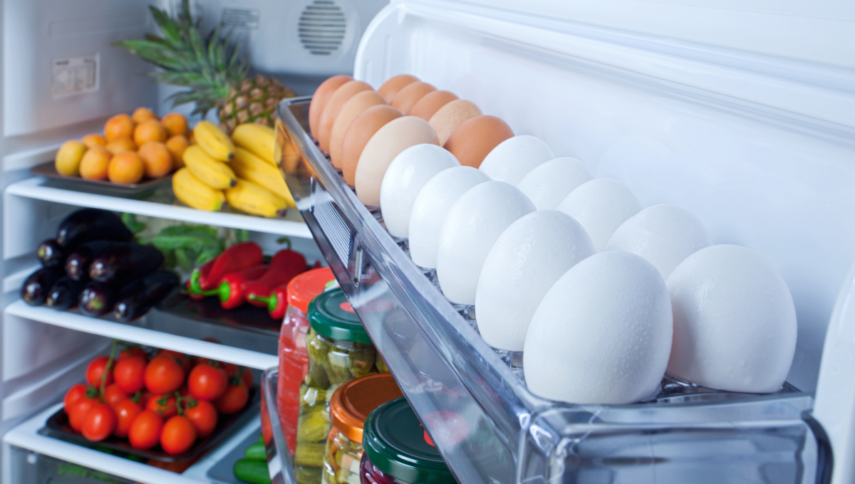 La comida expuesta al calor puede echarse a perder en un corto tiempo, poniendo en riesgo la salud. La comida expuesta al calor puede echarse a perder en un corto tiempo, poniendo en riesgo la salud.