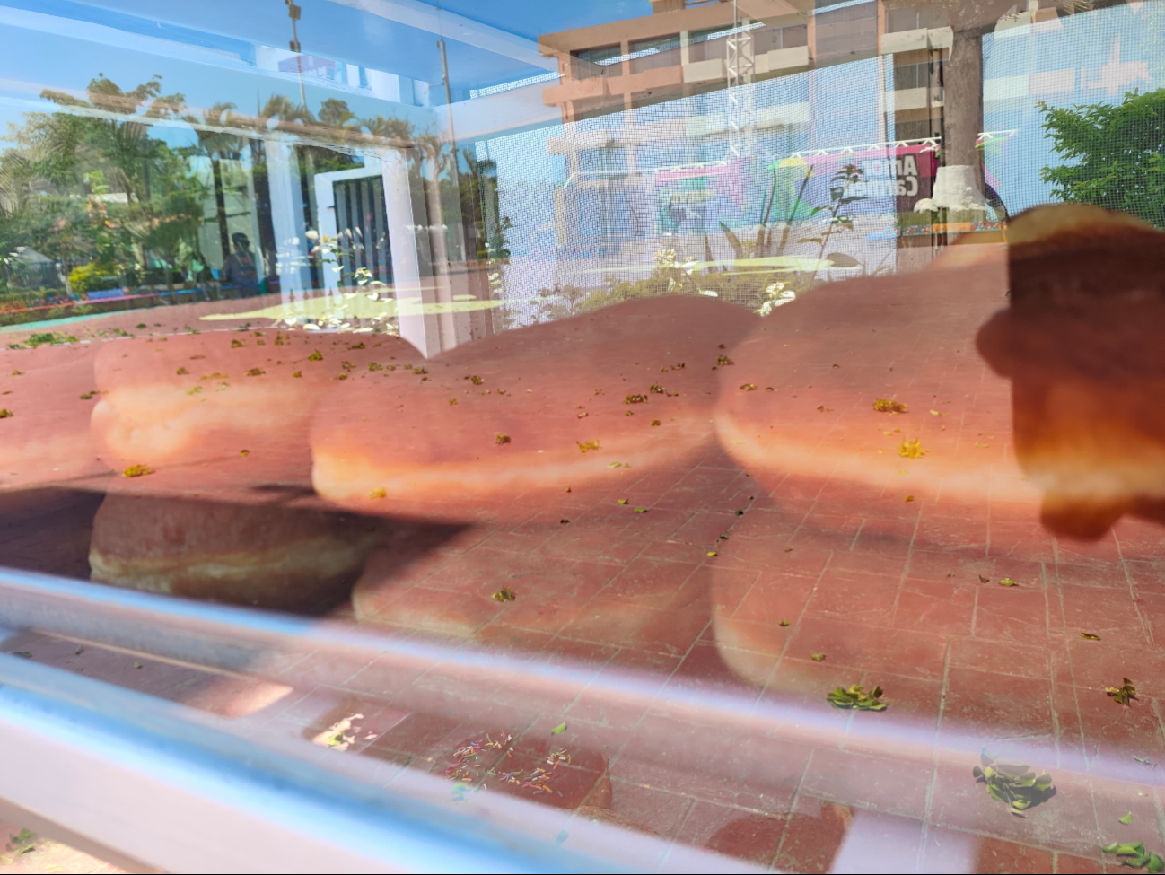 Comerciantes de pan en Carmen adoptan estrategias para mitigar pérdidas económicas Comerciantes de pan en Carmen adoptan estrategias para mitigar pérdidas económicas