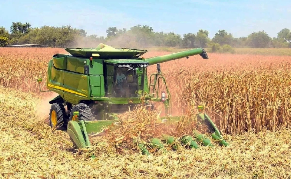 Los productores afectados incluyen dedicados al cultivo de maíz, producción de miel y reforestación Los productores afectados incluyen dedicados al cultivo de maíz, producción de miel y reforestación
