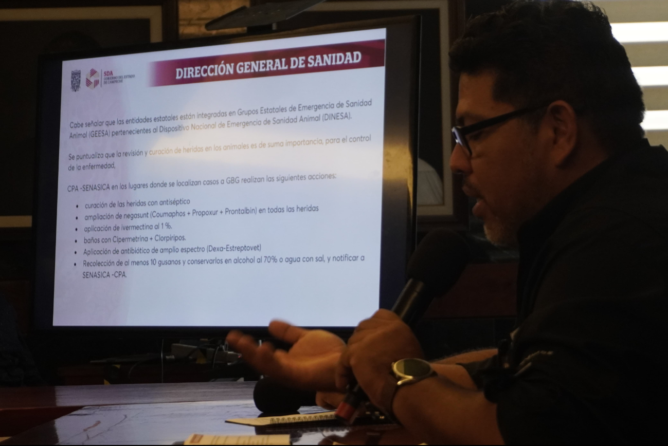 Del 15 de diciembre de 2024 al 22 de abril de 2025 se han registrado 124 casos de gusano barrenador en Campeche, afectando principalmente a bovinos.