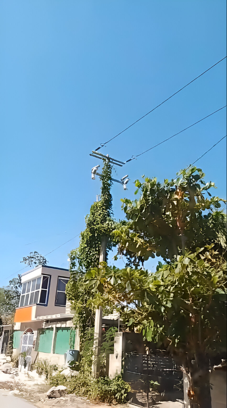 Cortocircuito por ramas de árbol pone en riesgo a vecinos de Escárcega