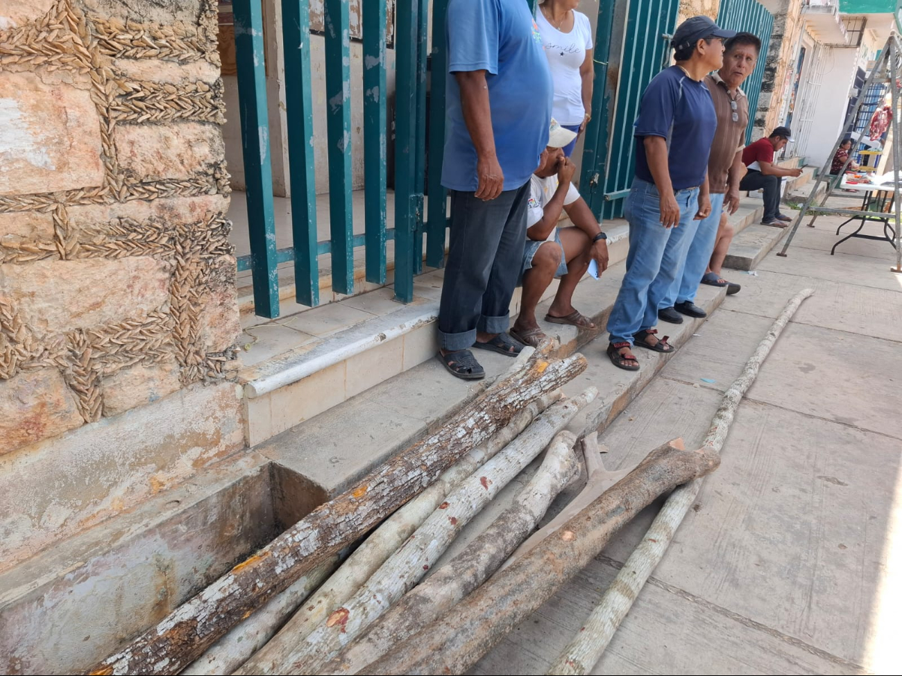 Tala ilegal: Decomisan maderas preciosas en terrenos ejidales en Hecelchakán