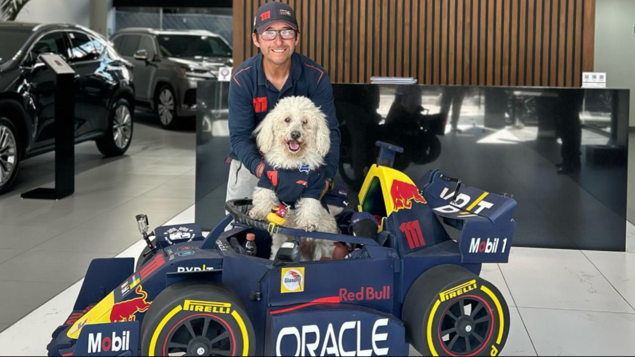 Murió Fabbio, el perrito que era fan de Sergio ‘Checo’ Pérez