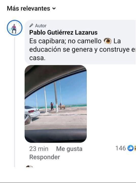El comentario del alcalde de Carmen fue criticado por usuarios El comentario del alcalde de Carmen fue criticado por usuarios