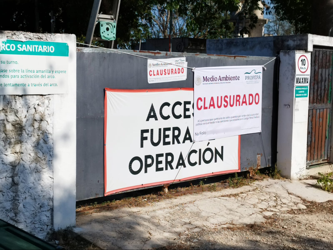 Profepa clausura la granja porcícola de Santa María Chi en Mérida