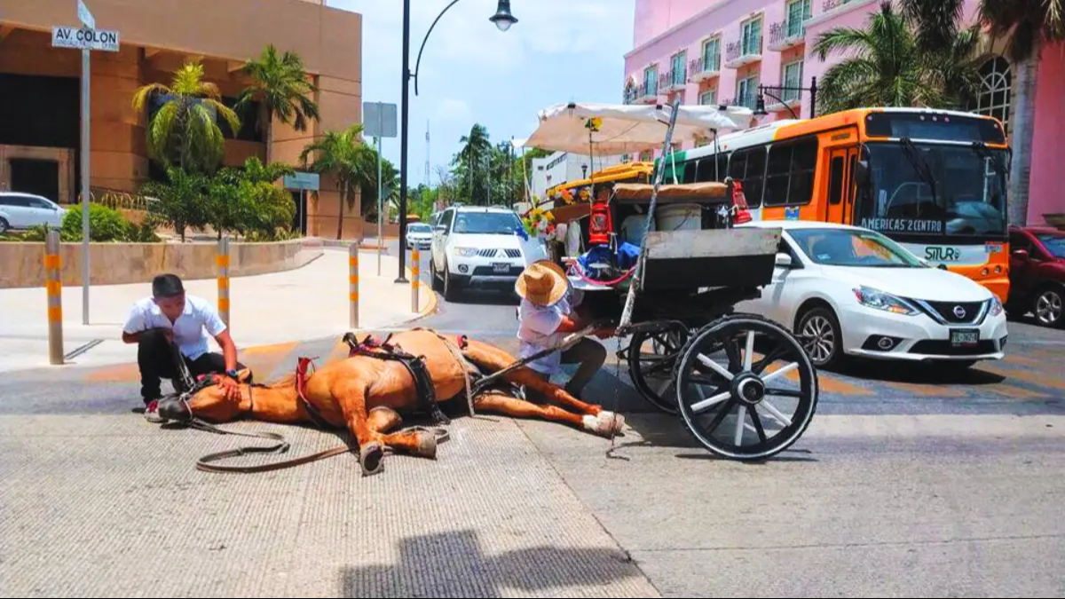 Calesas de Mérida, una estampa romántica detrás de una cruel realidad