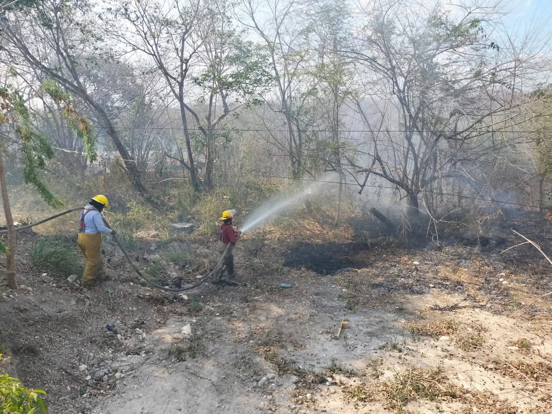 Luego, se enfrentaron a un incendio de maleza a lo largo de la carretera Escárcega – Chetumal, causado probablemente por el efecto lupa Luego, se enfrentaron a un incendio de maleza a lo largo de la carretera Escárcega – Chetumal, causado probablemente por el efecto lupa