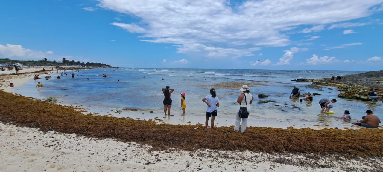 Familias disfrutan de las playas de Tulum pese a presencia de sargazo