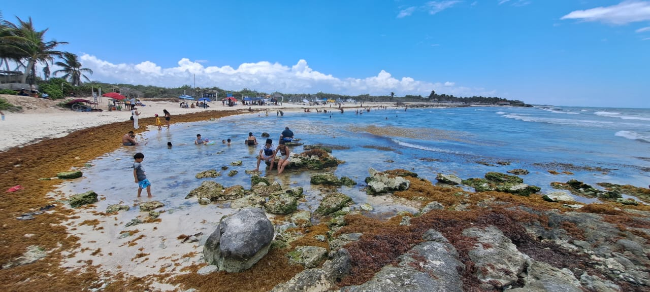 Punta Piedra es de las playas preferidas de los locales Punta Piedra es de las playas preferidas de los locales