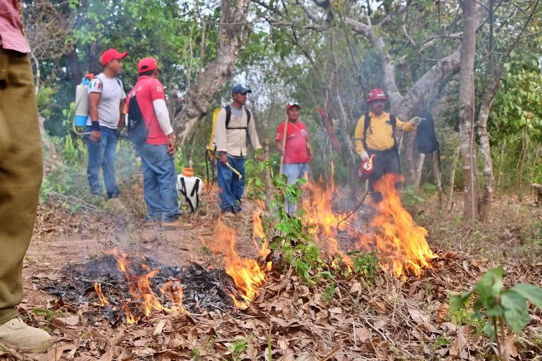Mano del hombre es la que provoca la mayoría de los incendios forestales