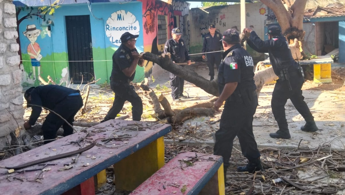 Se desploma un árbol en una escuela de Mérida en pleno regreso a clases