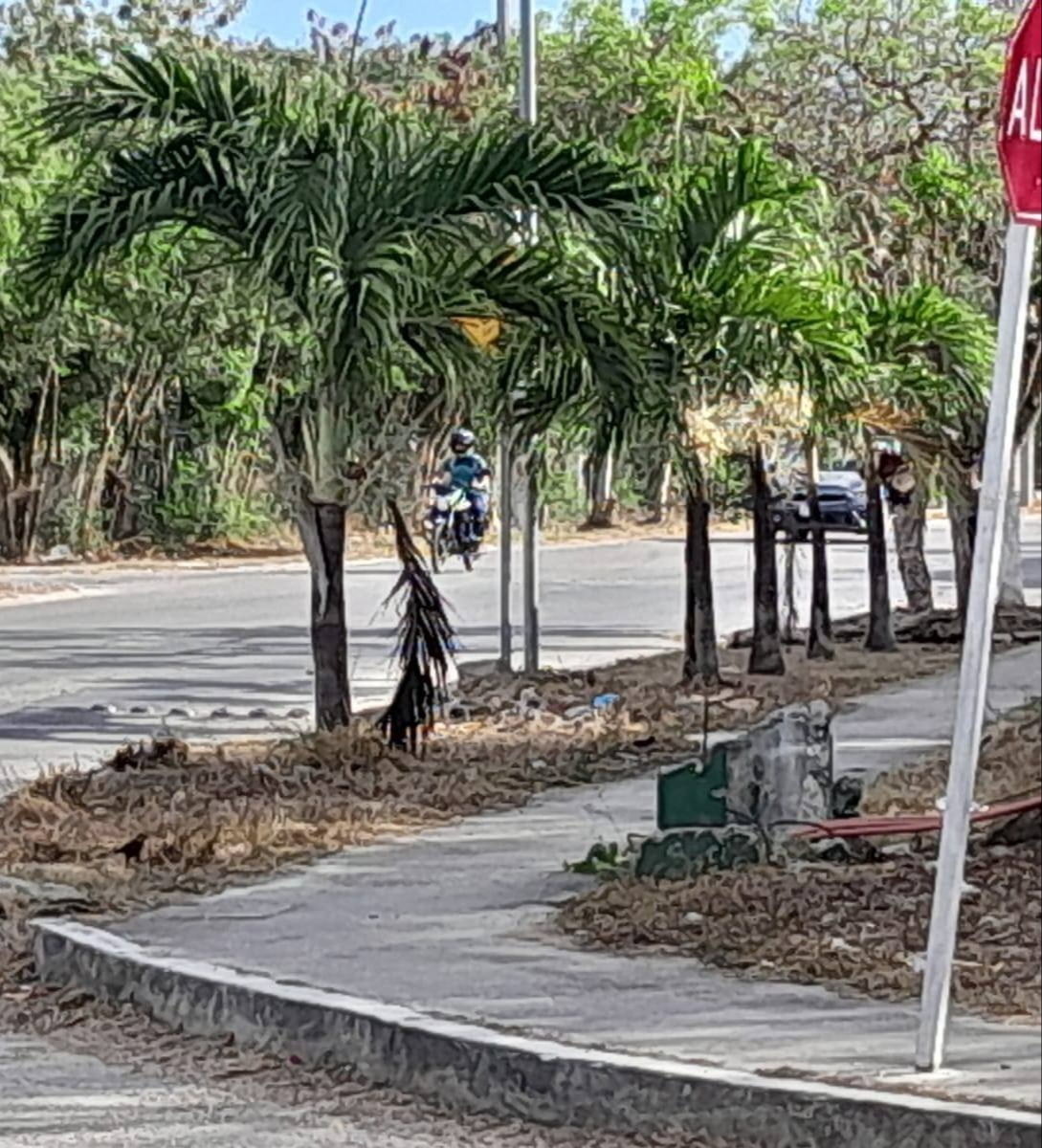 Los cables se encuentran en la intersección de las calles Antigua y Antonio Handall.