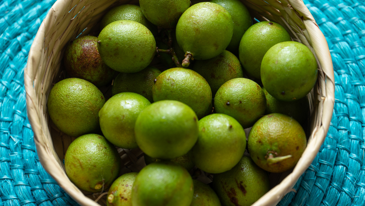 Los mercados principales y las marchantas son los lugares ideales para comprar huayas frescas en Campeche Los mercados principales y las marchantas son los lugares ideales para comprar huayas frescas en Campeche