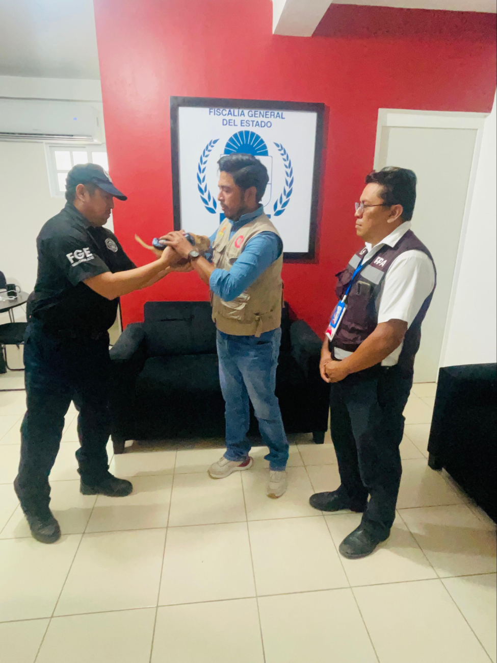 El canino quedó bajo resguardo de la SEMA, sano y salvo