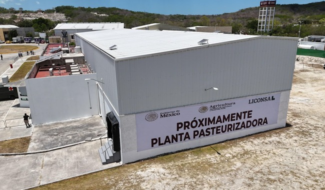 Instalarán una planta pasteurizadora de leche en Quintana Roo