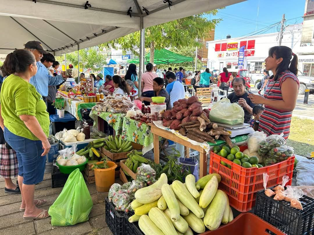 Éxito total en el XV Tianguis Agropecuario y Artesanal en Campeche Éxito total en el XV Tianguis Agropecuario y Artesanal en Campeche