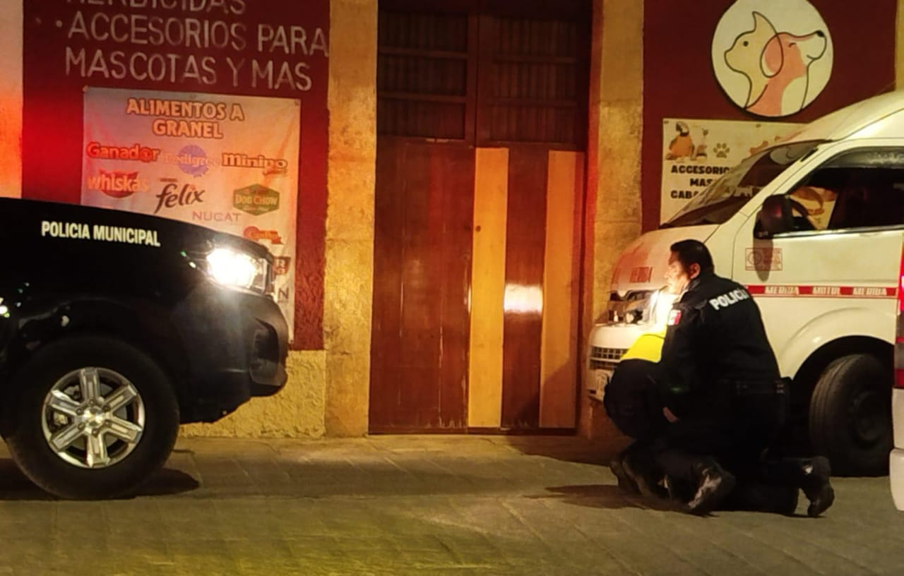 Varias patrullas persiguen hasta someter a un conductor que circulaba en sentido contrario
