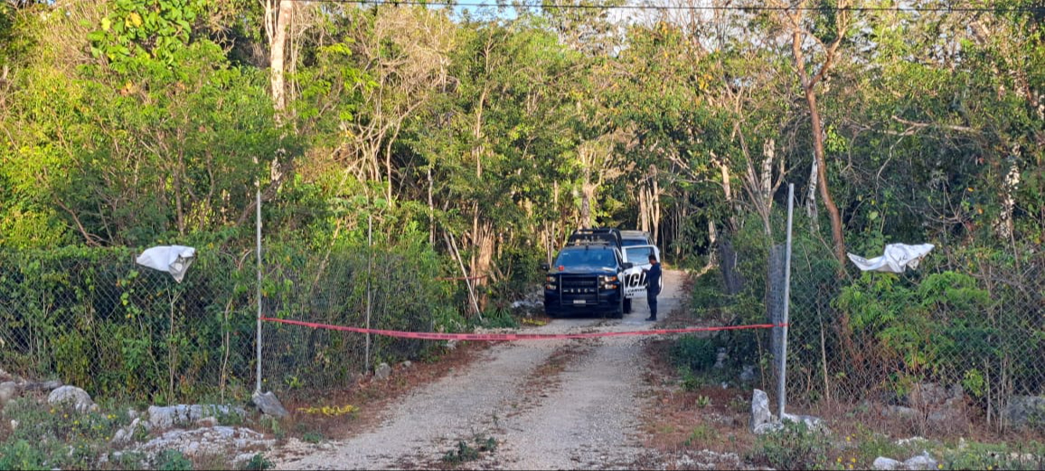 El siniestro fue controlado para evitar que las llamas se extendieran a localidades cercanas El siniestro fue controlado para evitar que las llamas se extendieran a localidades cercanas