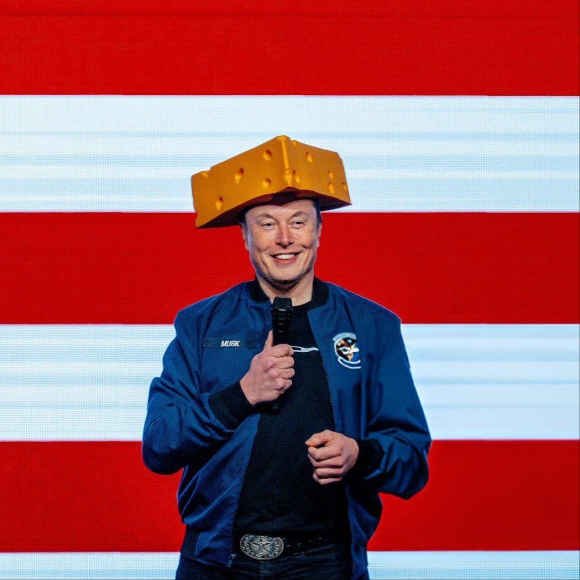 Elon Musk fue fuertemente criticado cuando empezó a trabajar junto a Donald Trump. Elon Musk fue fuertemente criticado cuando empezó a trabajar junto a Donald Trump.