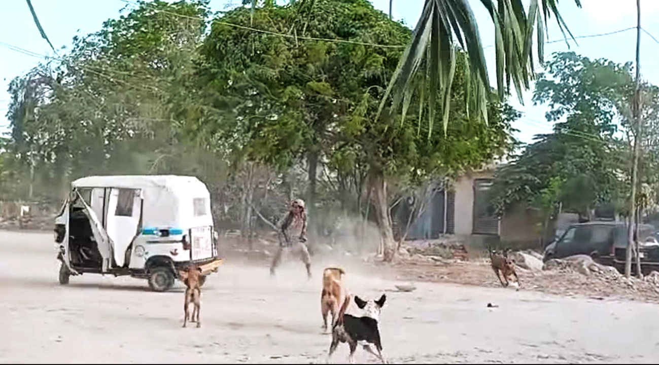 Reunión amistosa termina violenta: Mototaxista de Playa del Carmen intenta arrollar a su amigo (VIDEO)