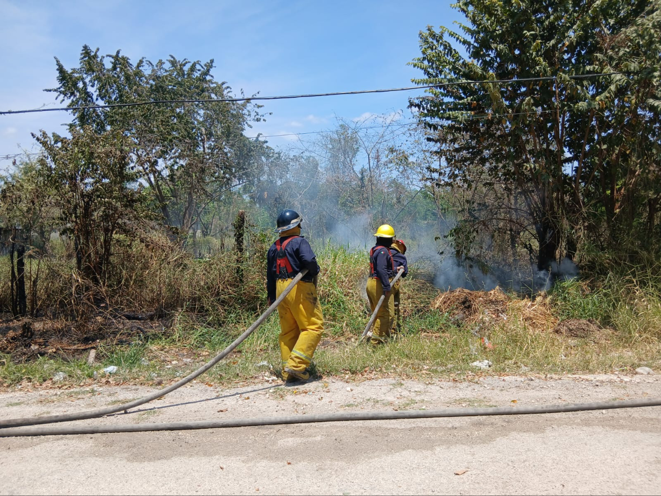 El incendio, iniciado por el efecto lupa de rayos solares sobre un vidrio, avanzó rápidamente hacia un predio baldío