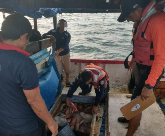 Incautan más de una tonelada de especies marinas y una  embarcación en Progreso; detienen a los tripulantes