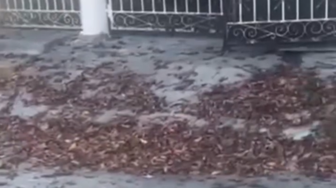 Redes sociales exponen discusión entre vecinos en Champotón