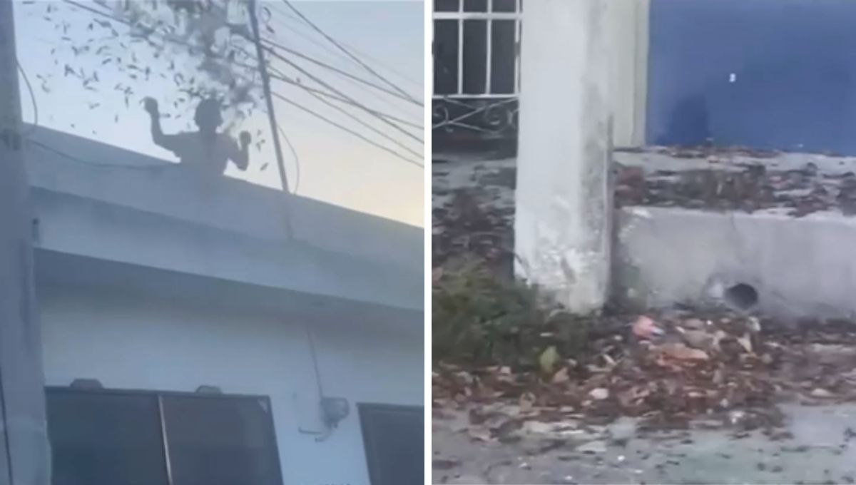 Captan al padre del Secretario de Morena en Champotón tirando basura desde el techo de su casa