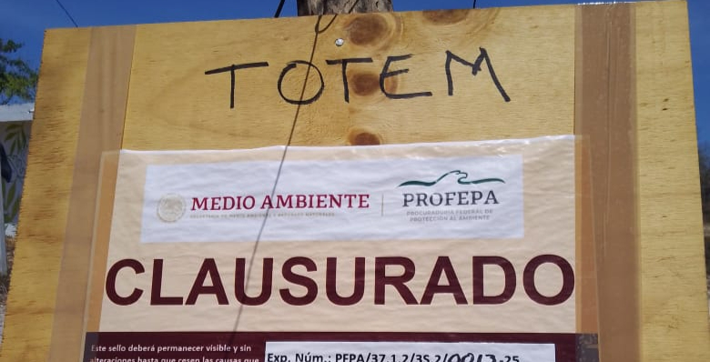 Coloca la Profepa sellos en obras que ya habían devastado millones de metros cuadrados de selva