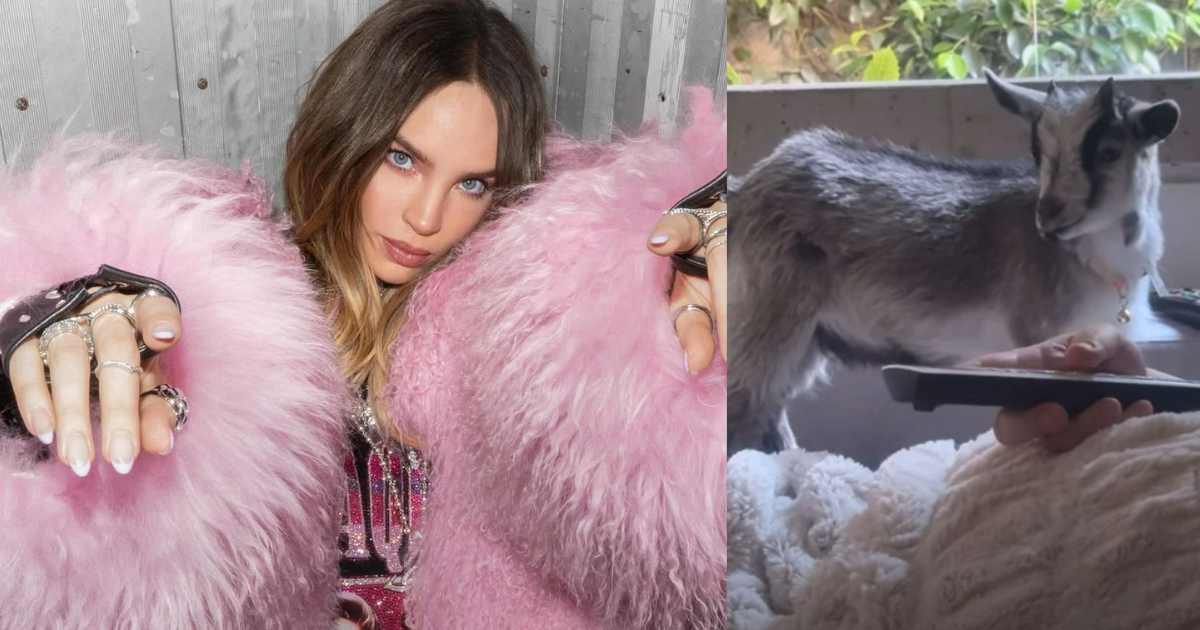Belinda adopta a "Flora", una cabra bebé, como su nueva mascota doméstica 