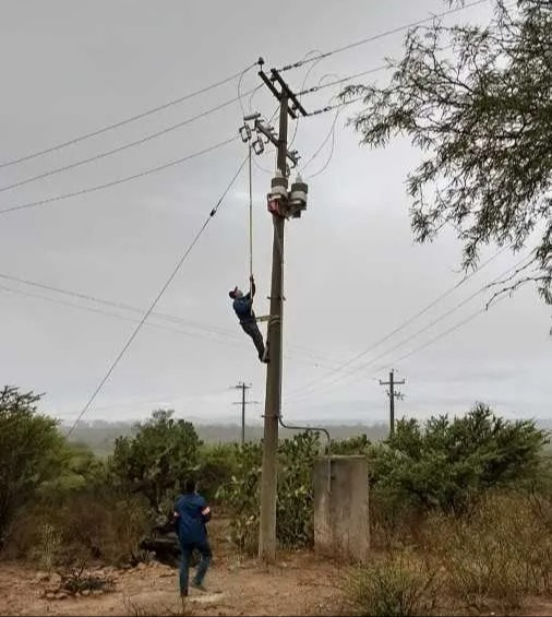 La CFE no cuenta con la capacidad para abestecer de vuelta la electricidad en todos los sitios afectados. La CFE no cuenta con la capacidad para abestecer de vuelta la electricidad en todos los sitios afectados.
