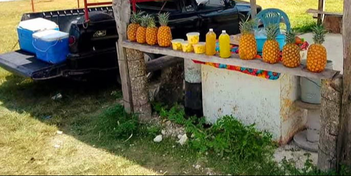 Recomiendan fruta fresca y tomar agua Recomiendan fruta fresca y tomar agua