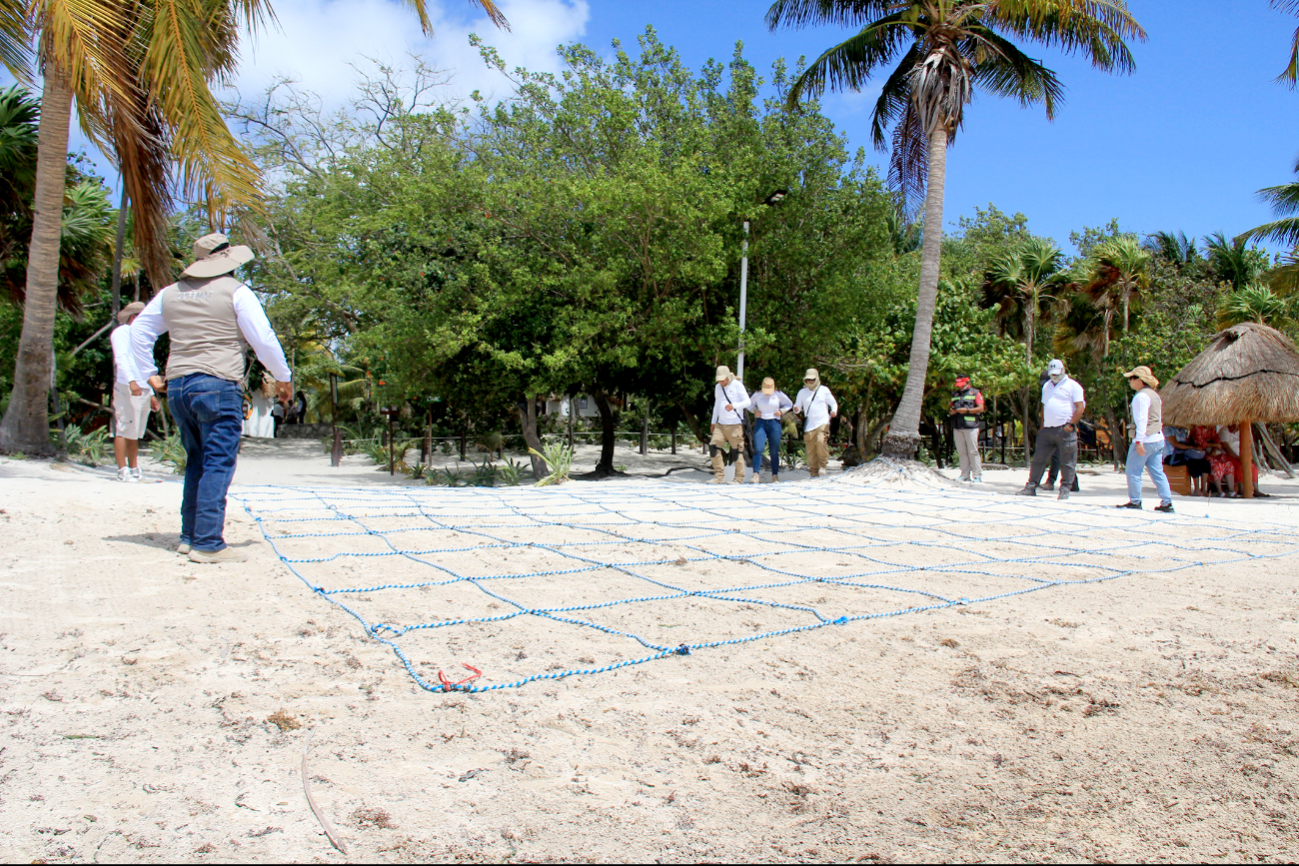 Playas Blue Flag de Cancún son evaluadas en calidad
