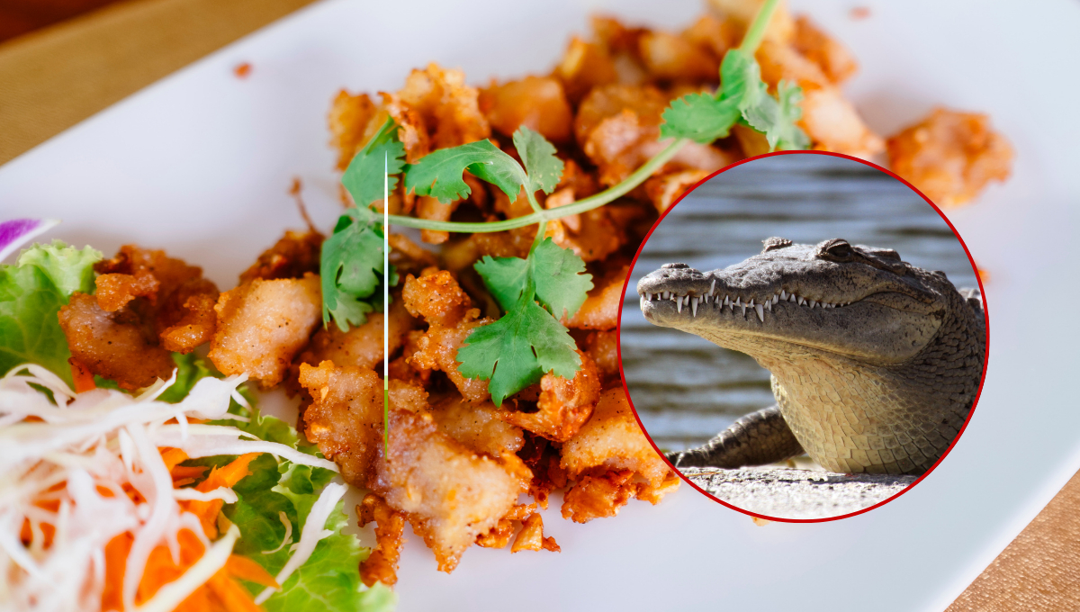 La carne de cocodrilo es un platillo exótico y raro en Campeche.