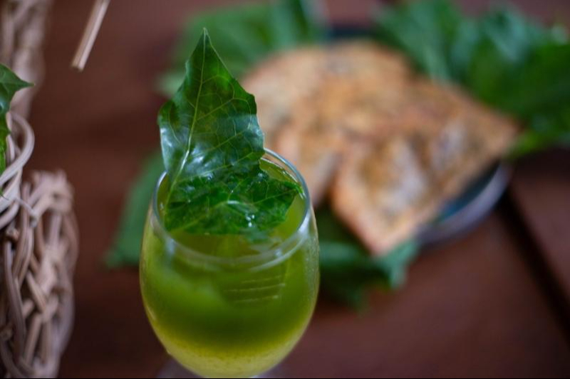 También se ofrecerán bebidas elaboradas con chaya También se ofrecerán bebidas elaboradas con chaya